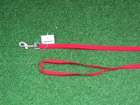 Welpenleine XS 120cm rot