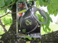 Giant L