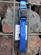Nylonhalsband Basic Click 30-45cm blau