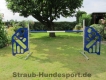Agility Sprunghürde