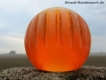Bionic Ball M