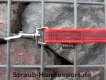 gummierte Nylonleine 20mm breit 2m mit Handschlaufe Farbe: rot