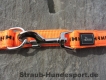 verstellbare Führleine orange schwarz 2m