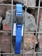 Nylonhalsband Basic Click 40-55cm blau