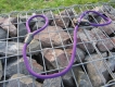 Retrieverleine Freestyle mit Stopring violet