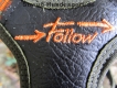 Niggeloh Follow 3 orange-oliv XS