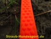 Sportleine SHX-1 Premium Orange