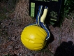 Swing DuraFoam Ball mit Schnur medium